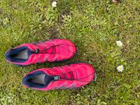 Hikingschuhe Sachsen-Anhalt - Halle Vorschau