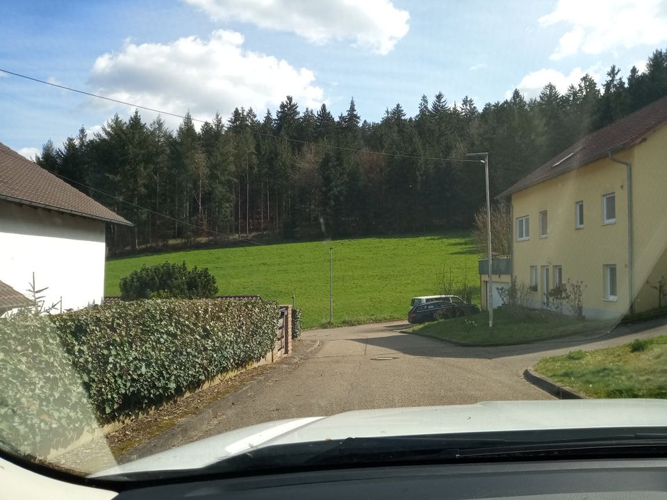 Garten, Wiesengrundstück,Bebauungsland? in Lahr (Schwarzwald)