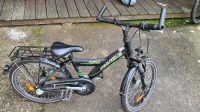 Pegasus 20 Zoll Kinderfahrrad Rheinland-Pfalz - Weinsheim (Kr Bad Kreuznach) Vorschau