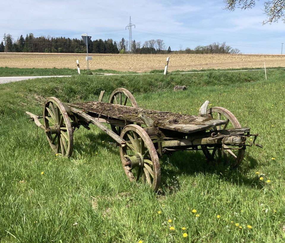 Holz Leiterwagen alt Deko antik defekt in Fürstenzell