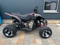 Aeon Cobra 422 Umbau Super Moto ❗️ +Eintragung und Versand LOF Baden-Württemberg - Sexau Vorschau