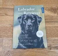Buch Labrador Retriever Hessen - Brensbach Vorschau