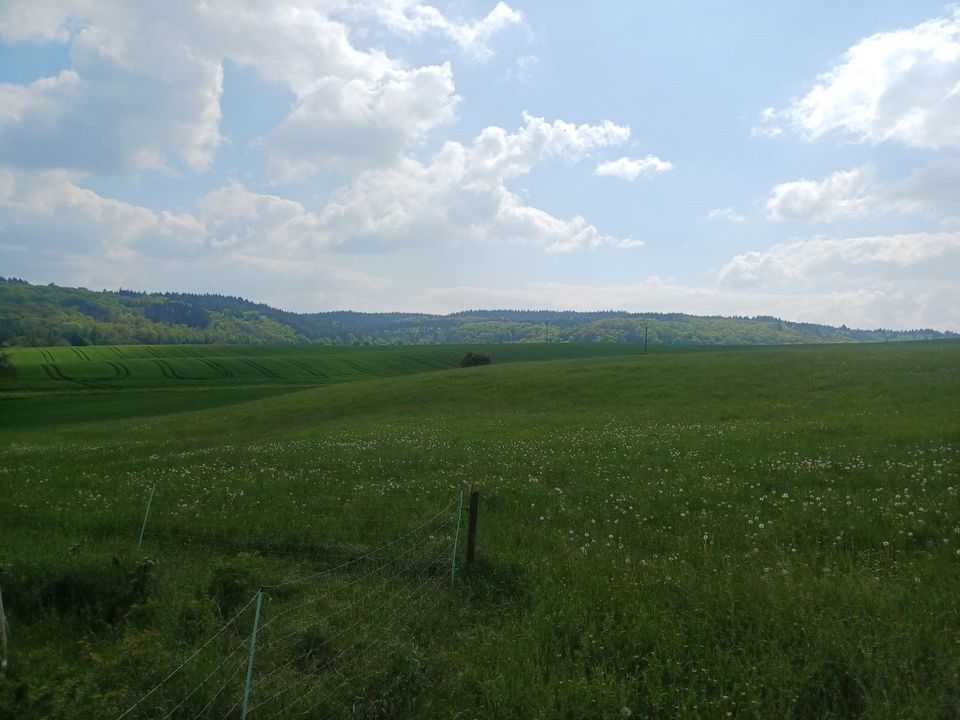 Baugrundstück in wunderschöner Natur und in Grenznähe in Nusbaum