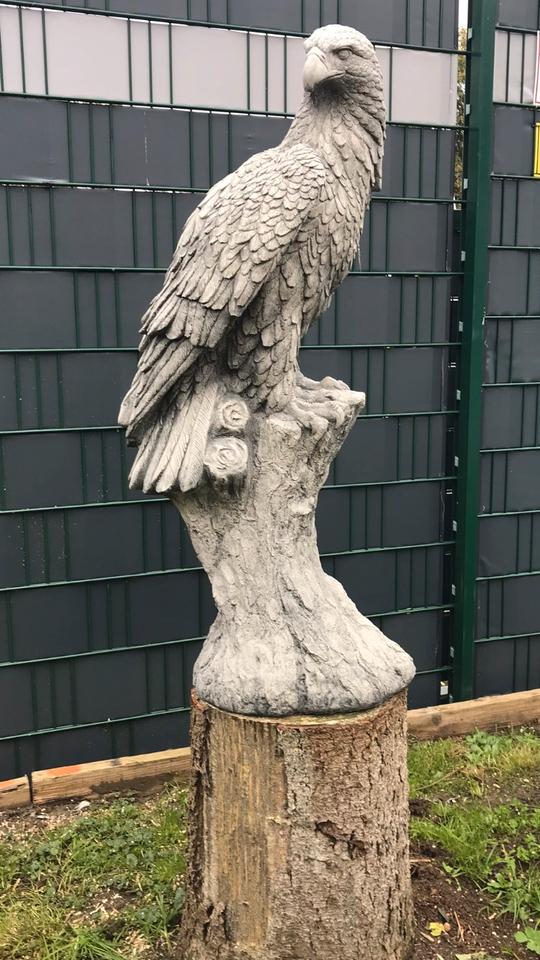 ‼️Adler 100kg 106cm Seeadler Greifvogel Eagle Harley Steinadler‼️ in Hannover