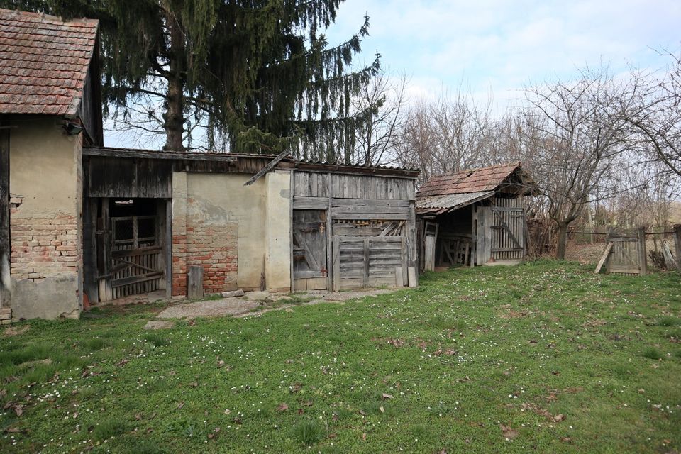 Einfamilienhaus in Nemesdéd, Ungarn in München