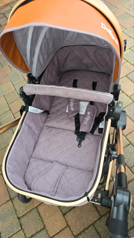 Daliya 3 in 1 Kinderwagen in Müllenbach (bei Mayen)