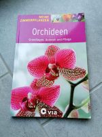 Orchideen Meine Zimmerpflanzen Niedersachsen - Bösel Vorschau