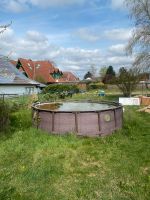 Pool im Garten Niedersachsen - Nienburg (Weser) Vorschau