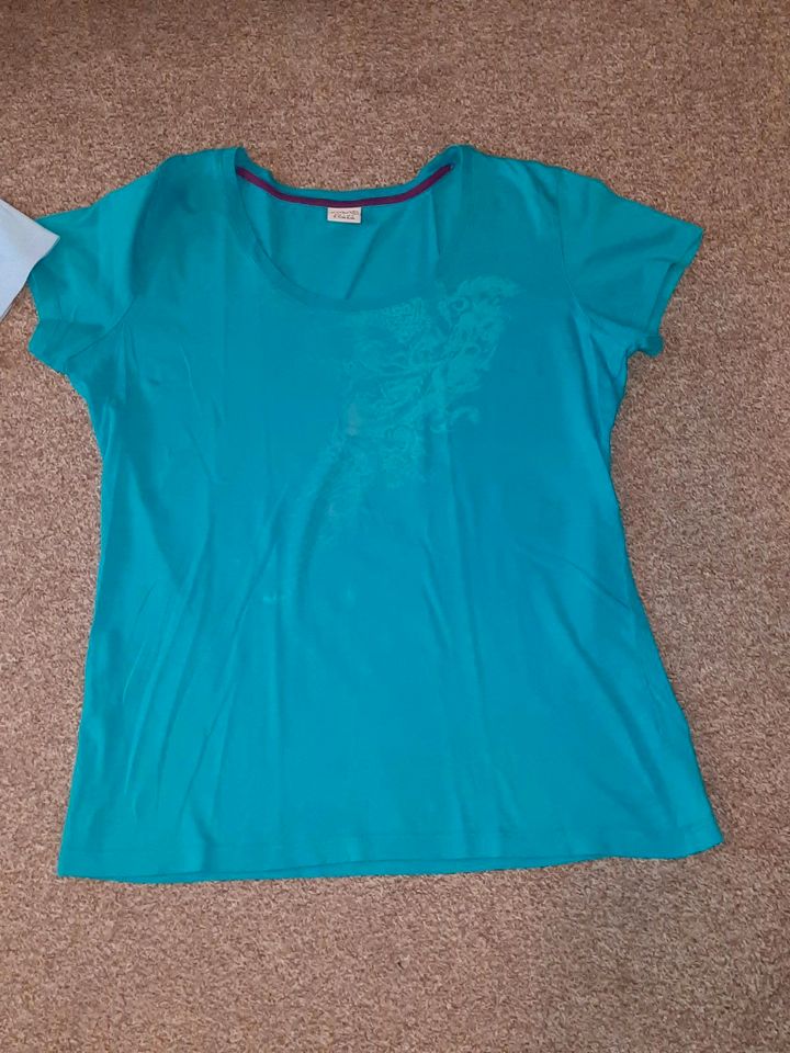 2 T-Shirts von Esprit Gr. XL (42 44) blau türkis in Duderstadt