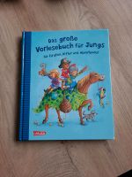 Das große Vorlesebuch Jungs Carlsen top Zustand Hessen - Homberg (Efze) Vorschau