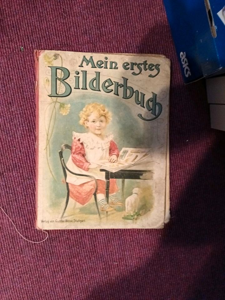 Bilderbuch um 1880 historisch Kinderbuch in Berlin