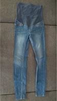 Umstandsmode Umstandsjeans / Schwangerschaft Gr. S Brandenburg - Cottbus Vorschau