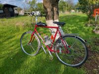 Fahrrad mit benzinmotor Baden-Württemberg - Freudenstadt Vorschau