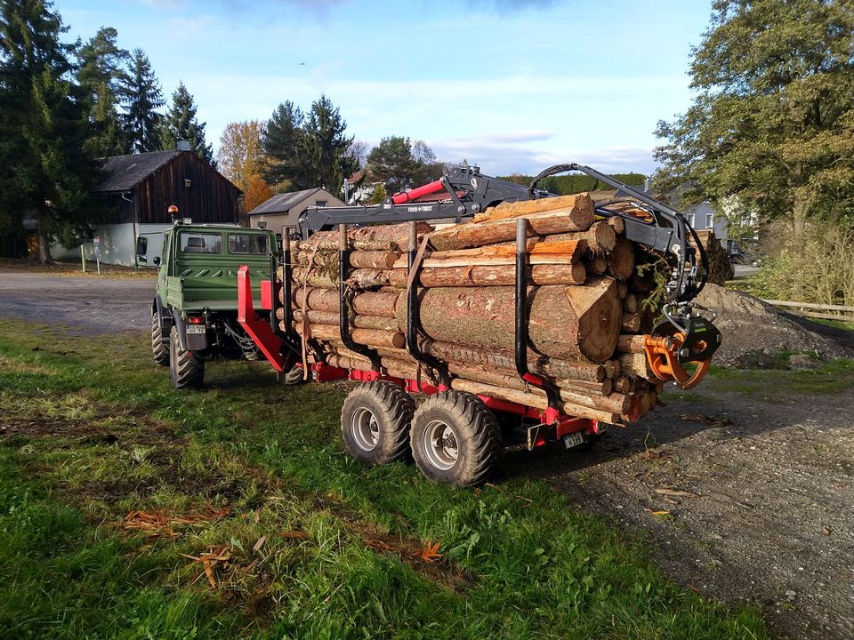 Holzrücken Holztransport Rückewagen Fällgreifer in Windischeschenbach