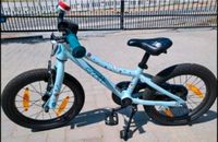 Fahrrad, Kinderfahrrad, 16 Zoll, Scott Sachsen-Anhalt - Halle Vorschau