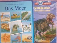 Das Meer kinderbuch dinosaurier Niedersachsen - Söhlde Vorschau