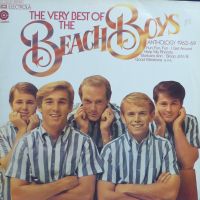 The Very Best of the Beach Boys - Schallplatten 2LP Hessen - Linden Vorschau