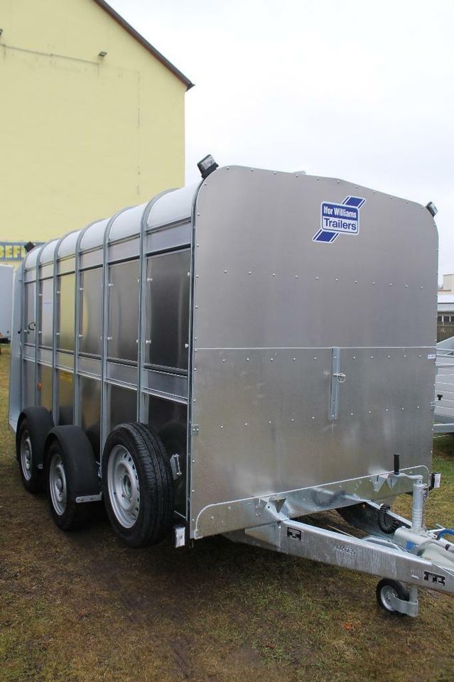 Ifor Williams TA510 Viehanhänger 311x178x182cm mit Rampe in Weiden (Oberpfalz)