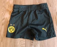 BVB Trikothose Gr.80 Hessen - Lorch Vorschau