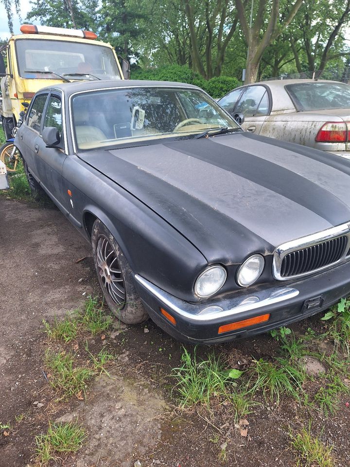 Jaguar x 300 in Duisburg