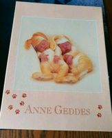 Anne Geddes - Puzzle , neu Hessen - Oberaula Vorschau