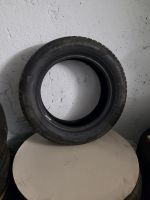 Pirelli Allwetterreifen SEAL Ganzjahresreifen 205/55R16 91V Nordrhein-Westfalen - Swisttal Vorschau