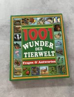 Delphin - 1001 Wunder der Tierwelt - Kinderbuch - Buch Schleswig-Holstein - Seth Holstein Vorschau