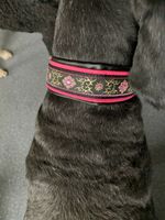 Halsband für Hunde - 41 cm rosa, golden Ornamente - Handarbeit Baden-Württemberg - Scheer Vorschau