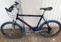 Fahrrad CYCLE WOLF Nordrhein-Westfalen - Gütersloh Vorschau