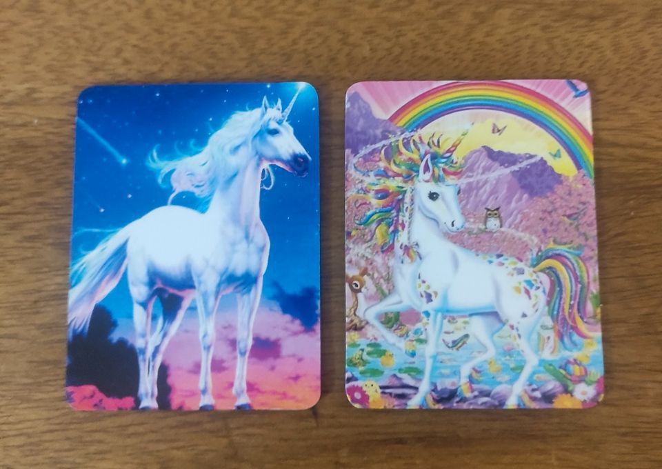 8 Magnete Einhorn Unicorn *Neu* in Lüchow