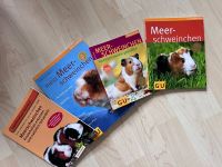 Meerschweinchen Bücher Hessen - Lich Vorschau