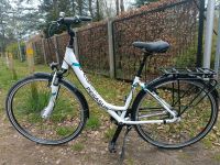 Pegasus Solero 28'' Damenfahrrad (Fahrrad) Brandenburg - Stahnsdorf Vorschau