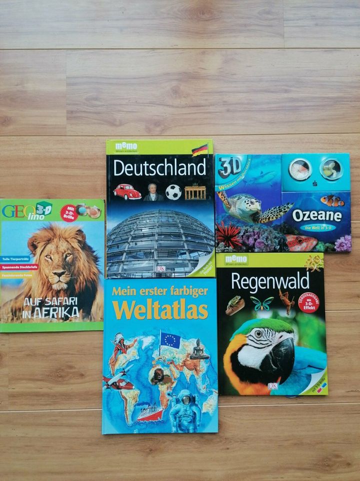 diverse Bücher, Spiele, DVD, Malbuch und Puzzle zu verkaufen in Biberach