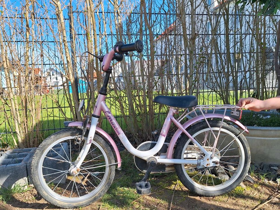 Fahrrad für Kinder in Schmiechen