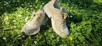 New Balance in beige Hessen - Bensheim Vorschau