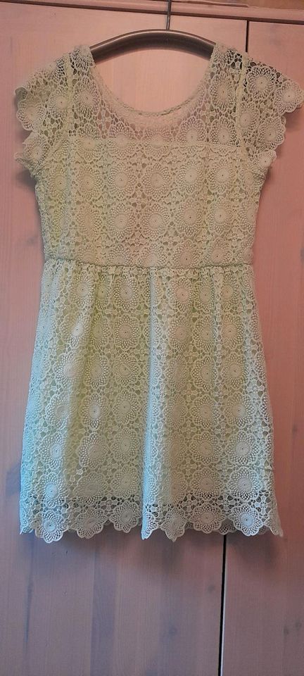 Damen Kleid 38 Sommerkleid Mintfarben Spitze in Lippstadt