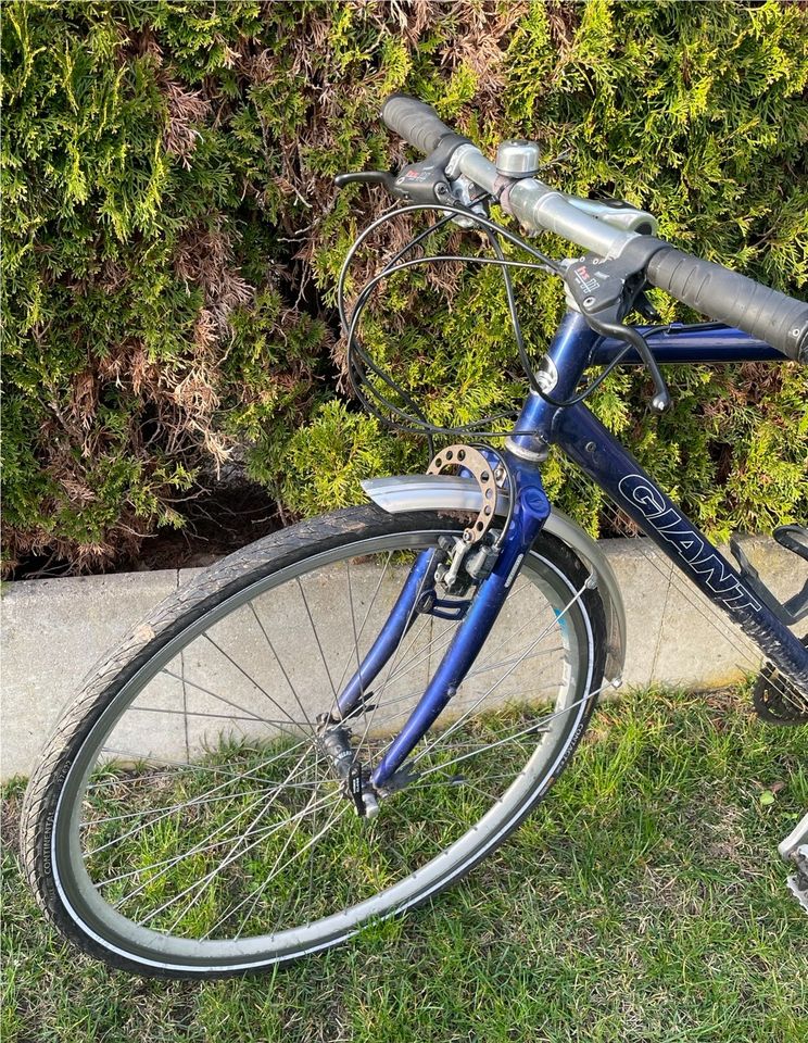 Fahrrad Giant in Herzogenaurach