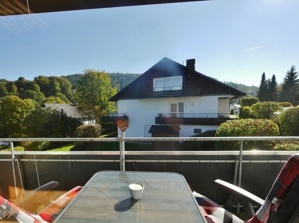 Ferienwohnung Gänseblümchen (Studio 2P.) Willingen Sauerland Fewo in Willingen (Upland)