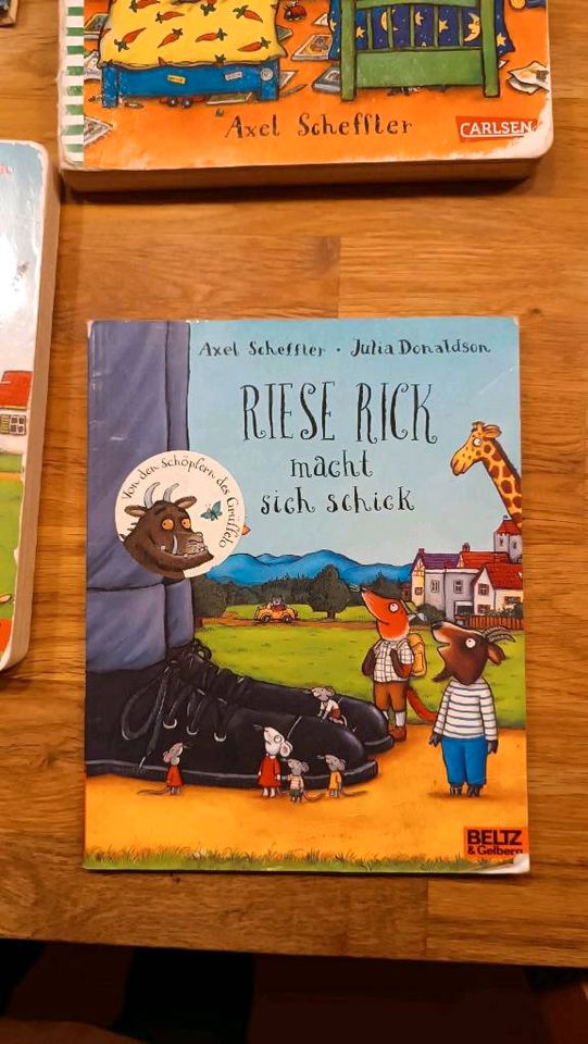 Axel Scheffler Julia Donaldson Paket Kinderbücher Vorlesebücher in Braunschweig