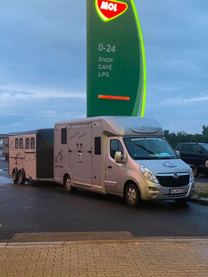 Pferde Transport Taxi Deutschland Holland Österreich Ungarn in Dorsten