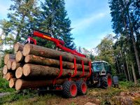 Wurzelstockfräsen, Holzrücken Bayern - Thalmässing Vorschau