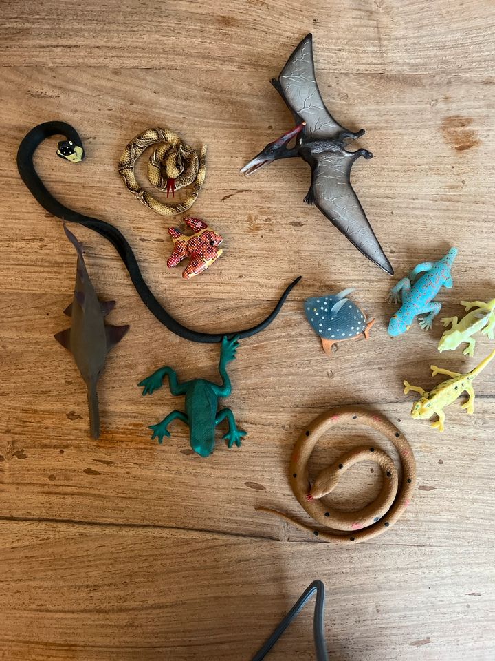 Tiere Spielzeug Sammlung Konvolut in Rimpar