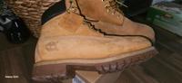 Timberland Schuh Nordrhein-Westfalen - Hamm Vorschau
