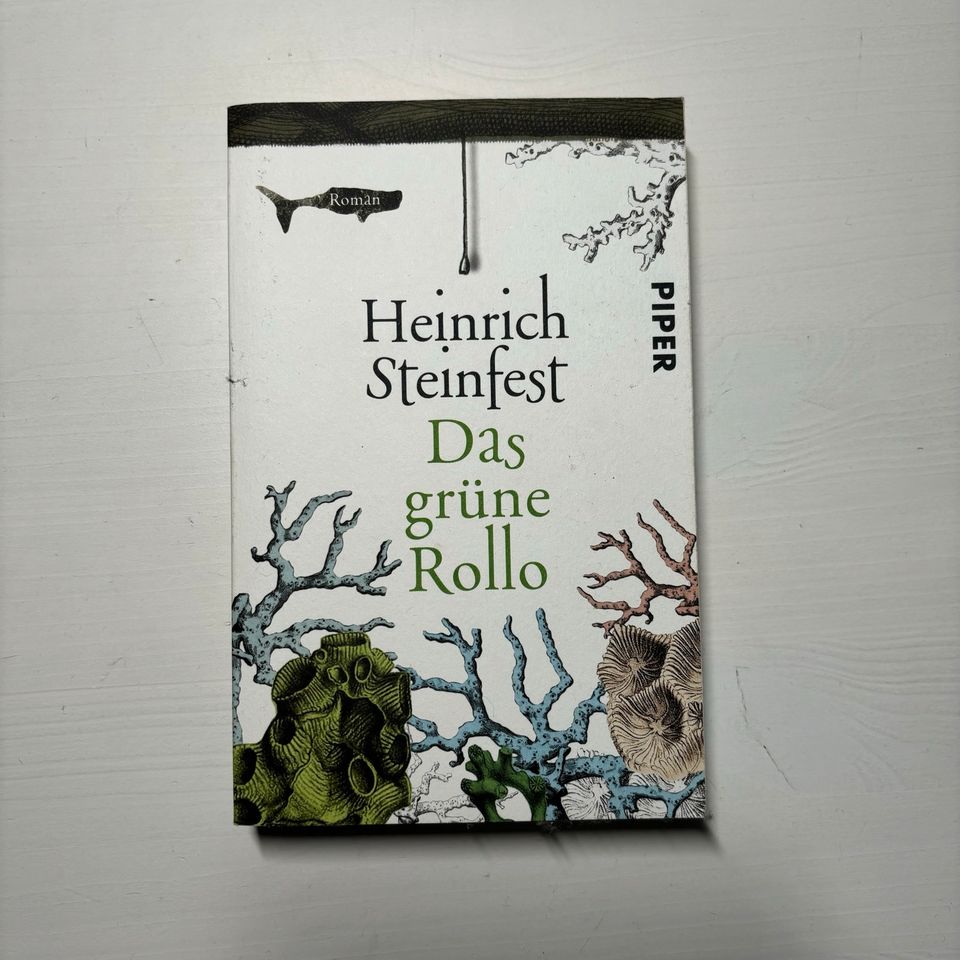 Das grüne Rollo - Heinrich Steinfest in Köln