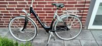 Gazelle Damen Fahrrad, sehr gute Zustand, 28 Zoll Nordrhein-Westfalen - Schloß Holte-Stukenbrock Vorschau