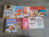 Bücher, Schwangerschaft, Ernährung, Baby Rheinland-Pfalz - Brücken (Pfalz) Vorschau