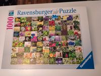 Ravensburger Puzzle 99 Kräuter und Gewürze 1000 Teile Dresden - Cossebaude Vorschau