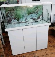 Aquariumkombination 200L Hessen - Nauheim Vorschau