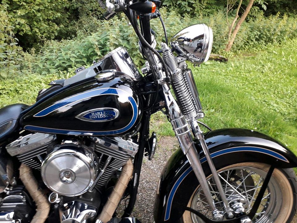 Harley Davidson Heritage Springer in Bonn