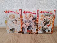 Kleiner Schmetterling Band 1-3 Boys Love/ Yaoi Manga 1. Auflage Dortmund - Hörde Vorschau